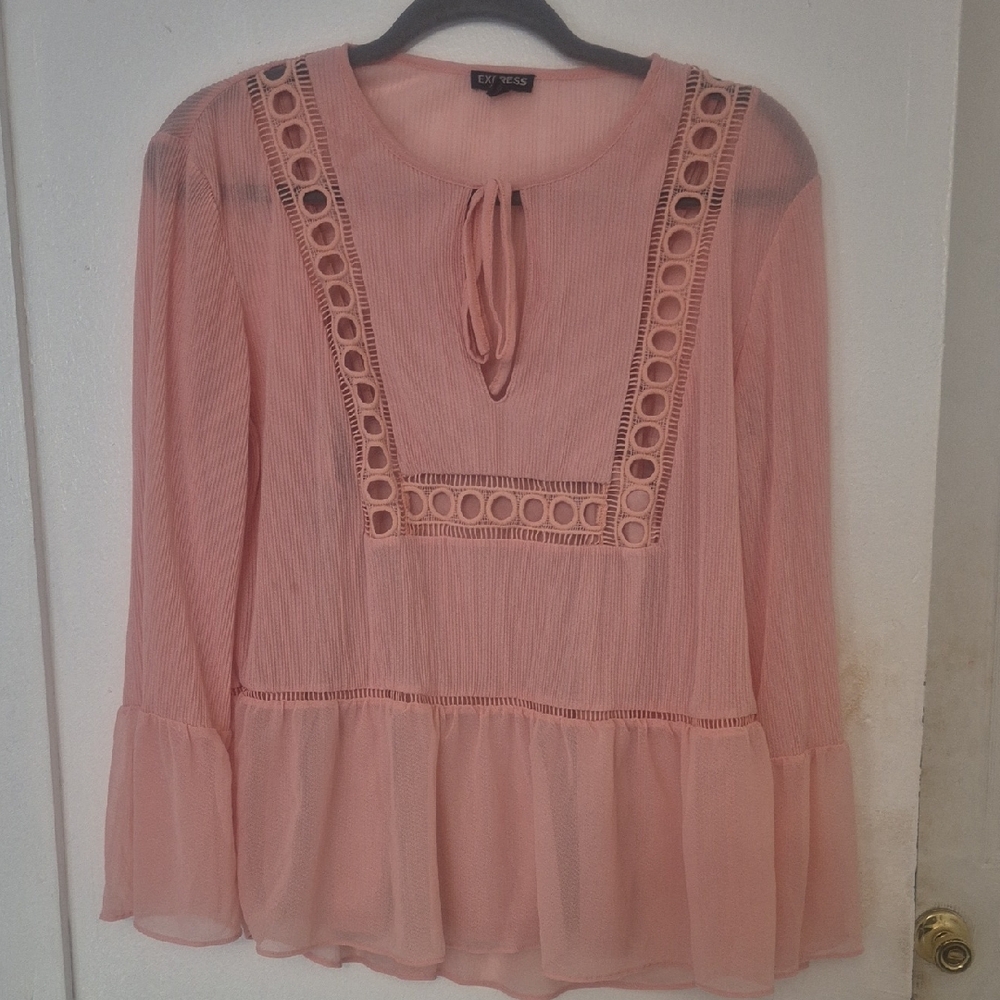 Express Pink Sheer Blouse with Lace Details